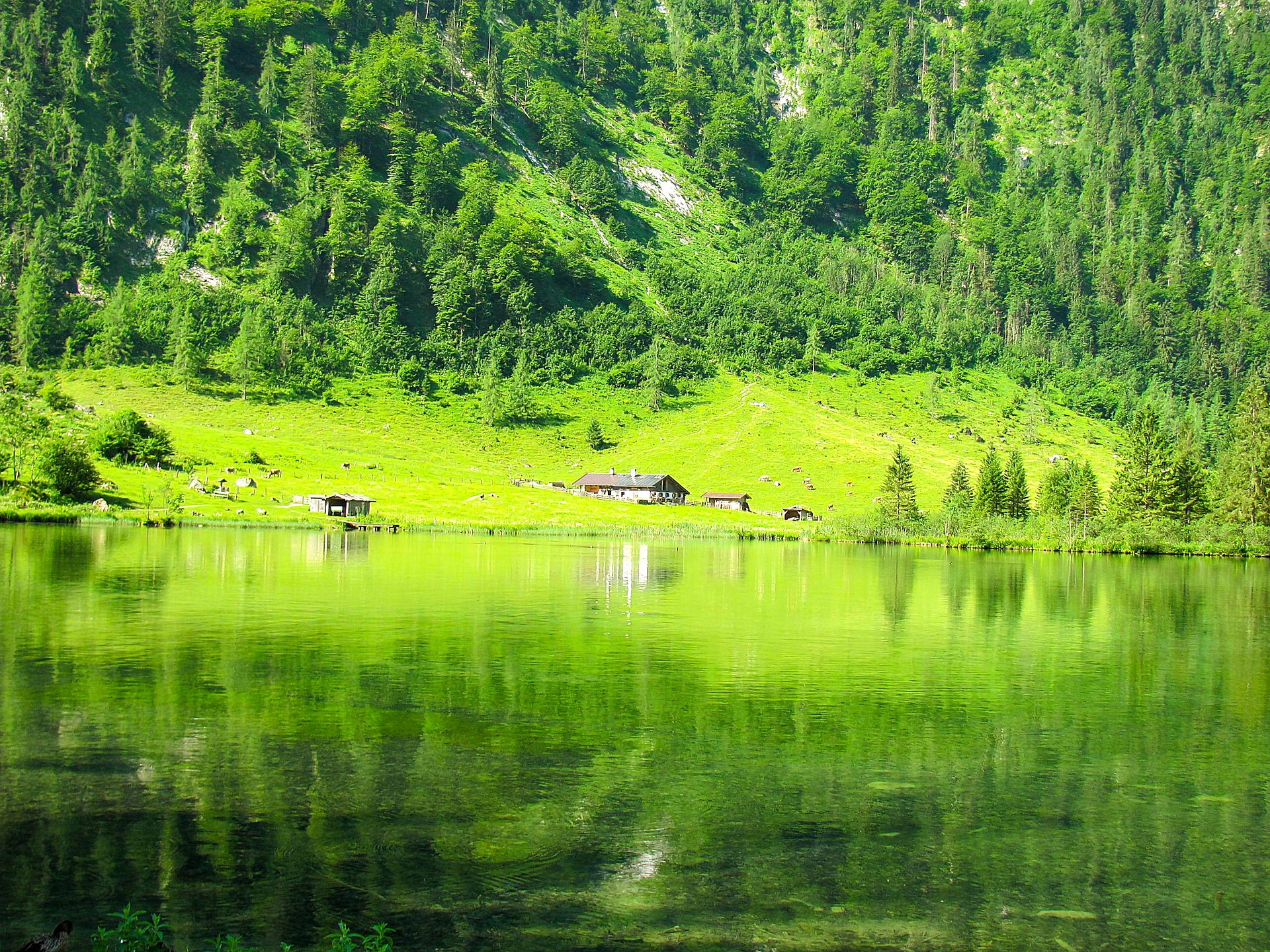 The emerald green Königssee in Berchtesgaden National Park, Bavaria