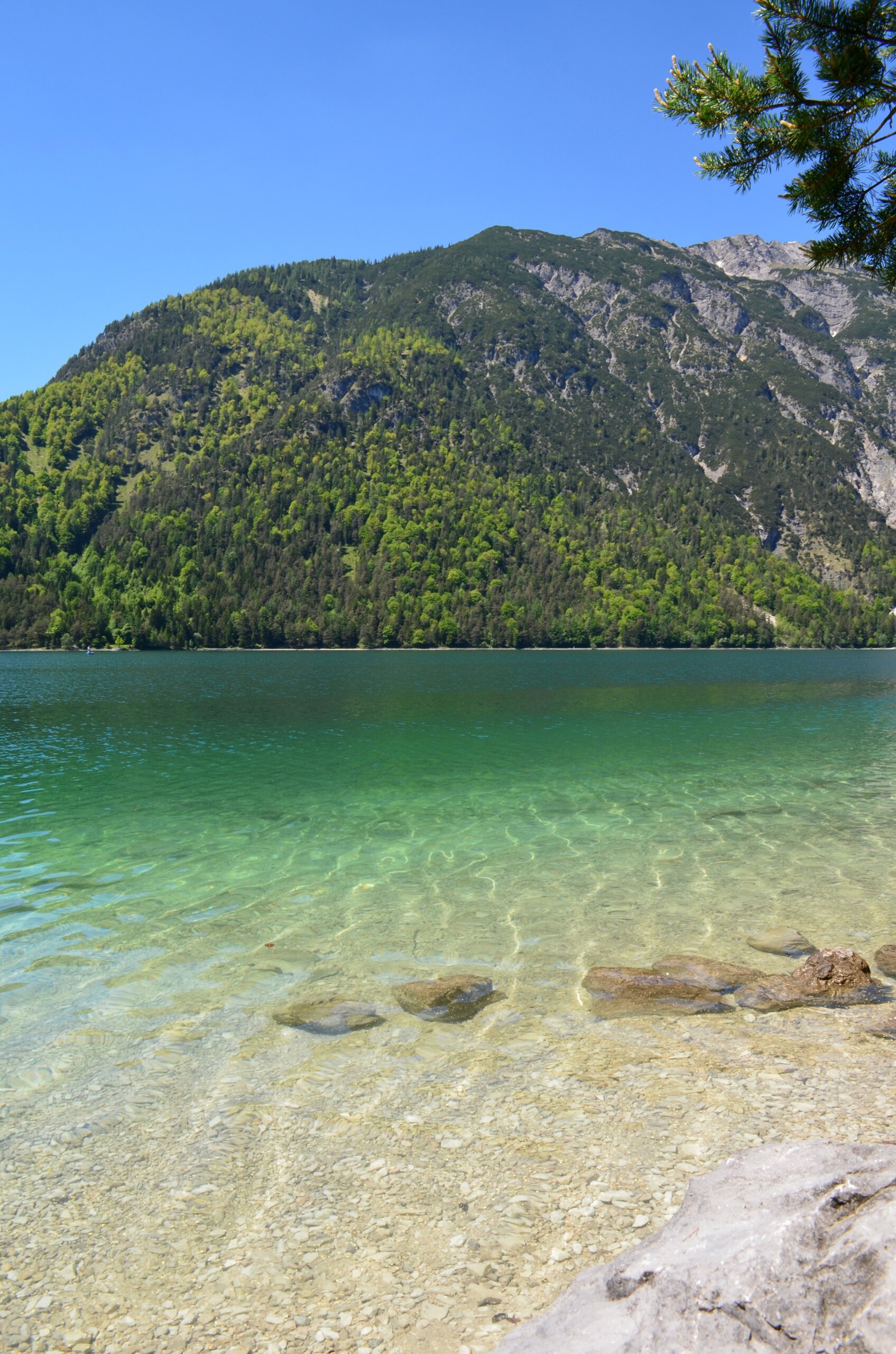 Crystal clear water of the Achensee in Tirol
