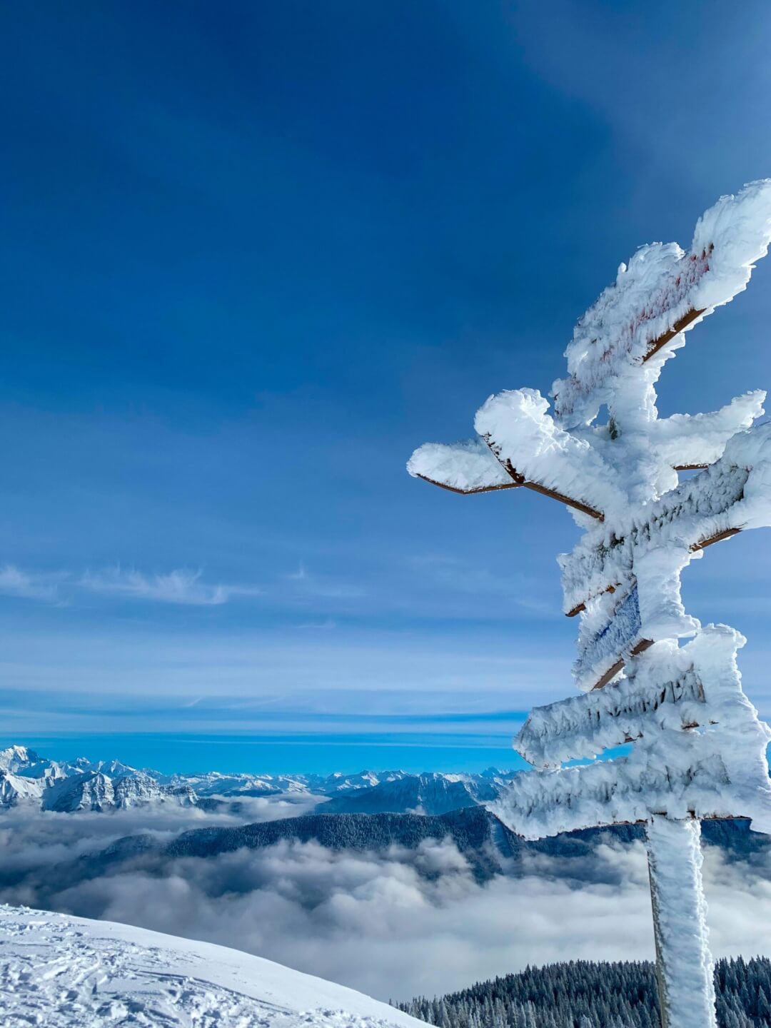 Frozen signpost above a sea of clouds in the Alps