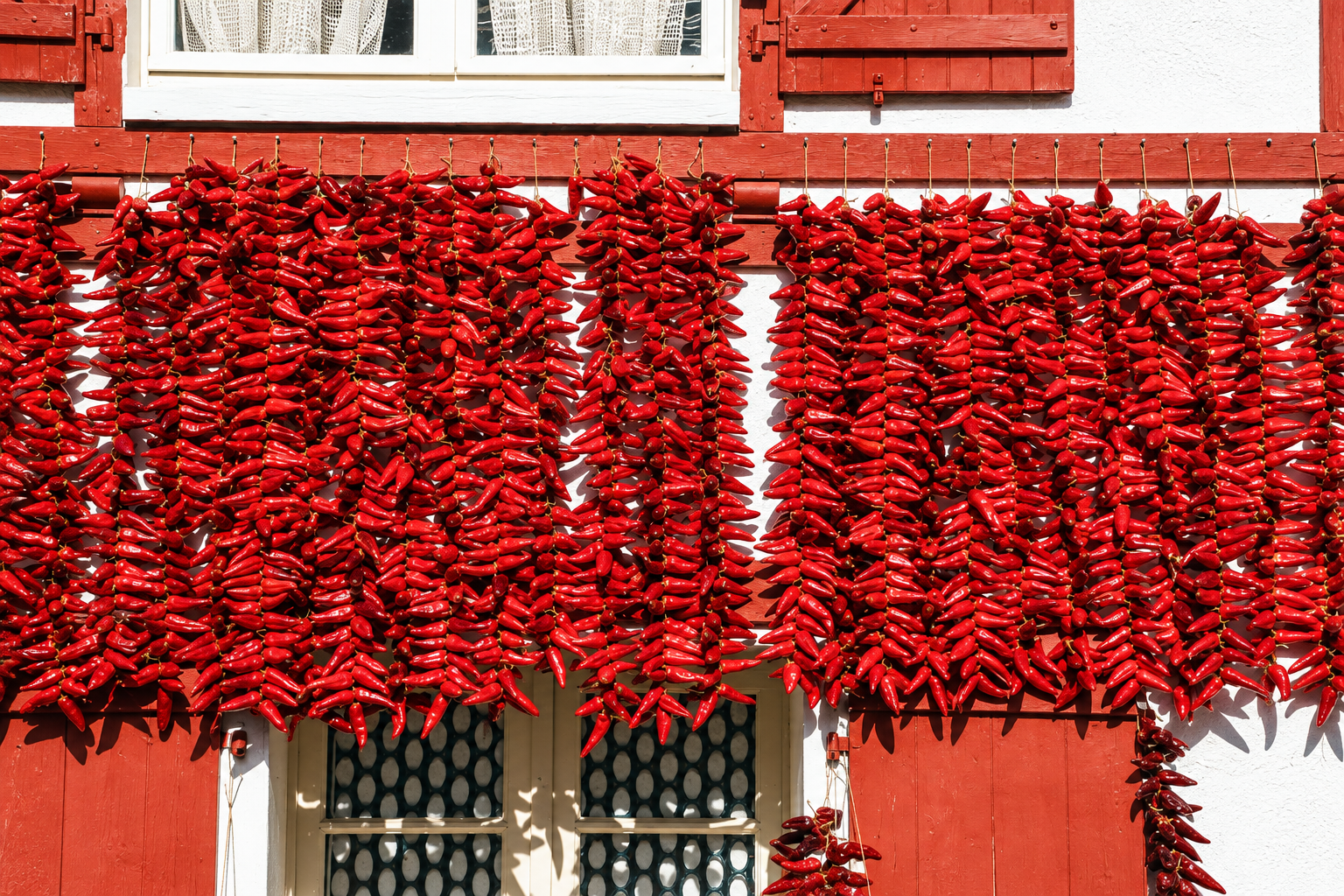 Red chili peppers drying in the sun, a traditional sight in Hungary.